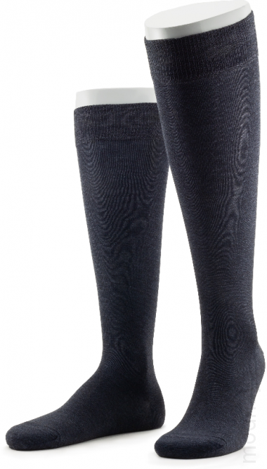 SERGIO di CALZE 19SC1 cotton mercerized — Модная Ты