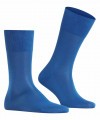 Мужские носки FALKE TIAGO sock (14662) фото 57 — Модная Ты