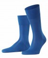 Мужские носки FALKE TIAGO sock (14662) фото 56 — Модная Ты