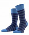 Носки FALKE SENSITIVE MAPPED LINE socks (12438) фото 1 &mdash; Модная Ты
