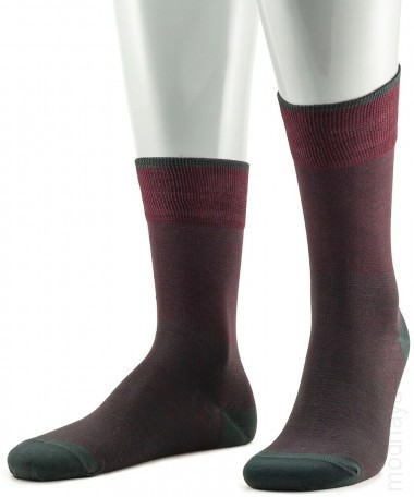 SERGIO di CALZE 17SC4 cotton mercerized — Модная Ты