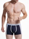 X FILE SPORT BOXER M(48), VERDE (тёмно-зелёный) фото 8 — Модная Ты